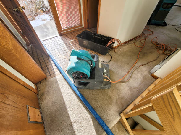 Best Water damage restoration experts  in Idabel, OK