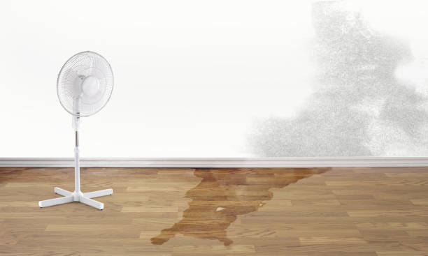 Best Flood damage cleanup  in Idabel, OK