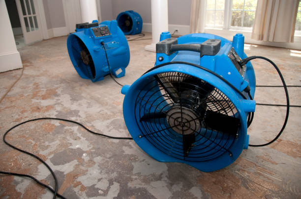 Best Water damage contractors near me  in Idabel, OK