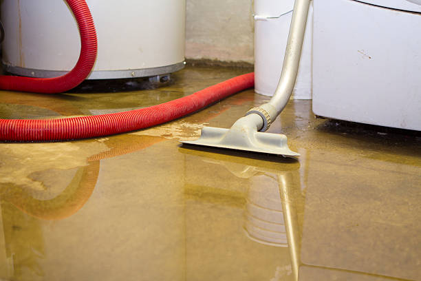 Best Water damage restoration near me  in Idabel, OK