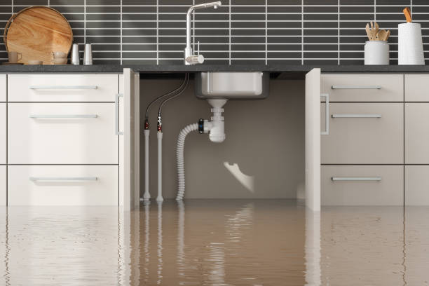 Best Mold removal after water damage  in Idabel, OK