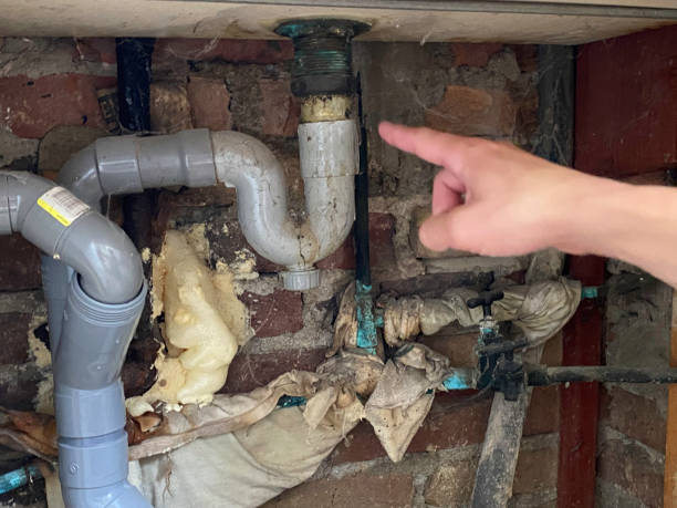 Best Professional water damage repair  in Idabel, OK